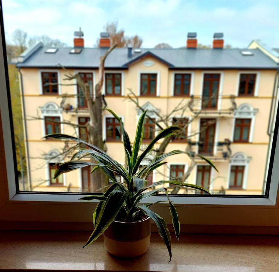 Apartament Pacific 2 Rooms / Pokoje 斯维诺乌伊希切 外观 照片